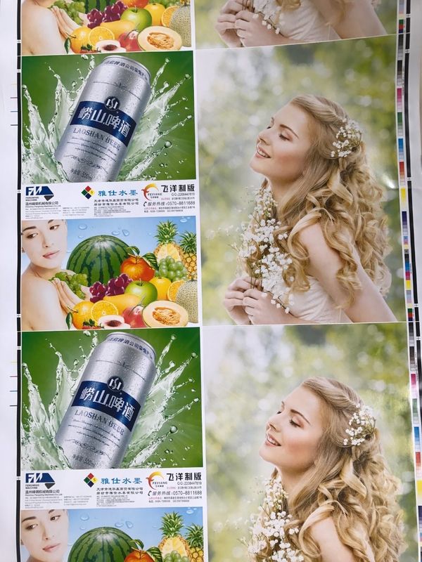 الحبر المياه 6 لون النوع الداخلي التحكم في الخدمة آلة الطباعة Flexo للطباعة
