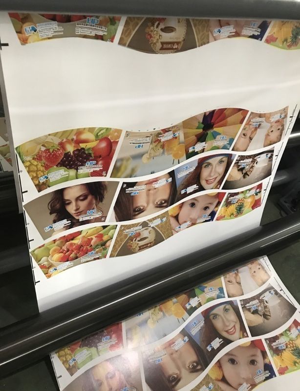 آلة الطباعة المرنة مع الطلب المخصص