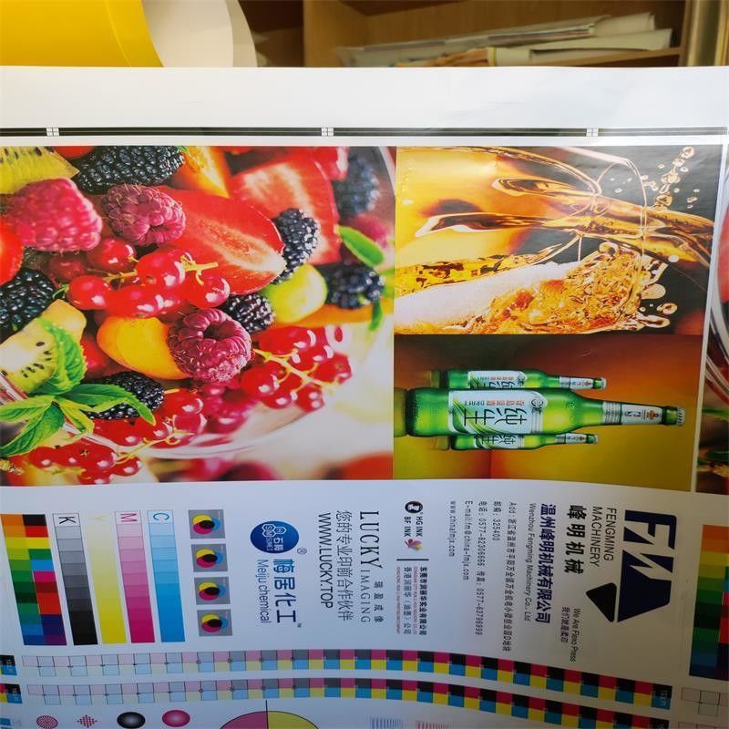 الطلب المخصص سرعة عالية 6 لون وحدة نوع آلة الطباعة Flexo للوحة الورق